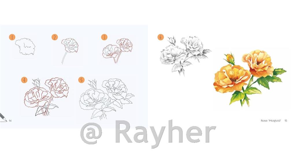 Knjiga Draw 30: Flowers