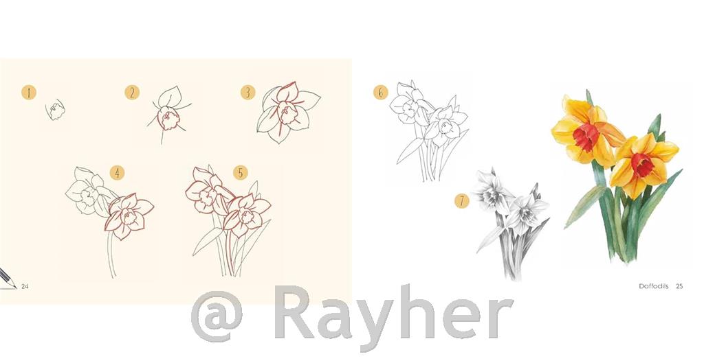 Knjiga Draw 30: Flowers