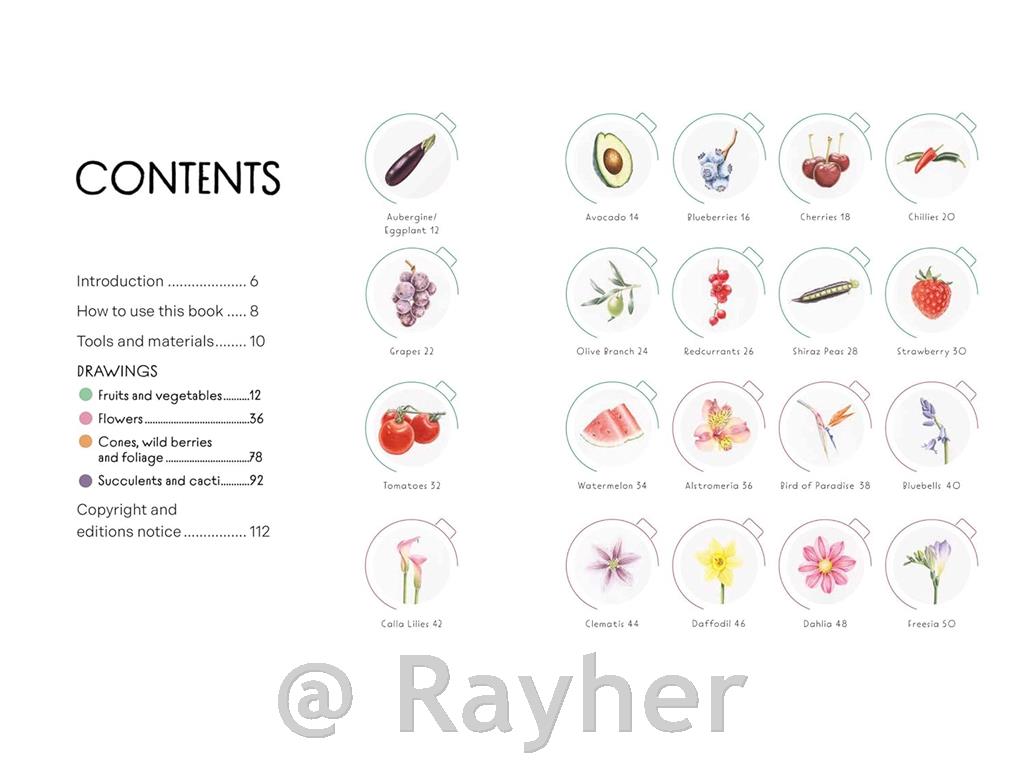 Knjiga Draw in 10 Minutes: Botanicals