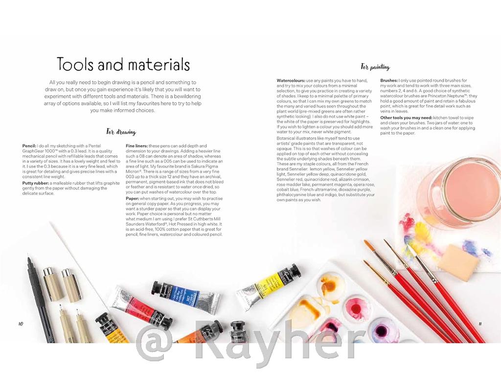 Knjiga Draw in 10 Minutes: Botanicals