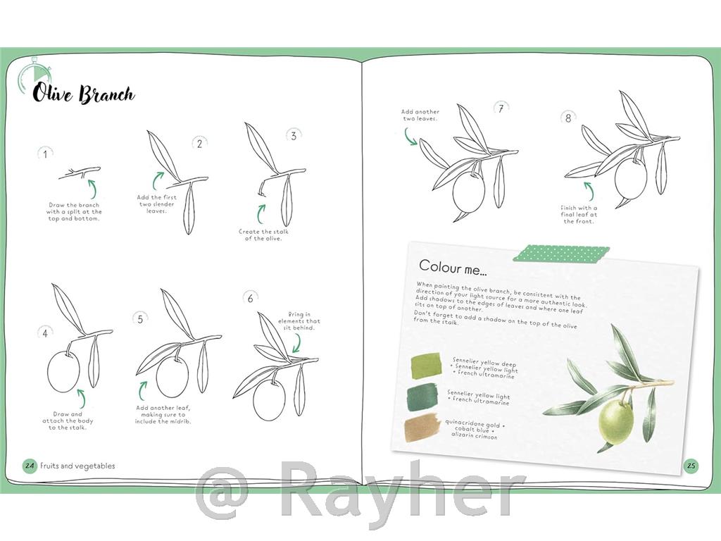 Knjiga Draw in 10 Minutes: Botanicals