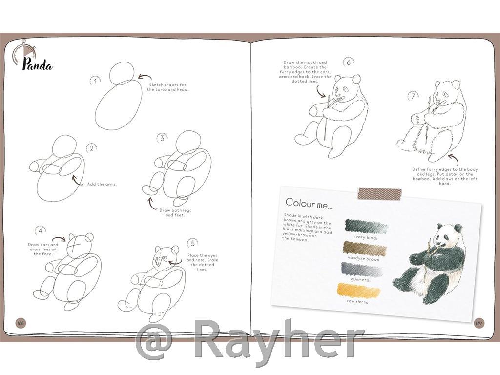 Knjiga Draw in 10 Minutes: Animals