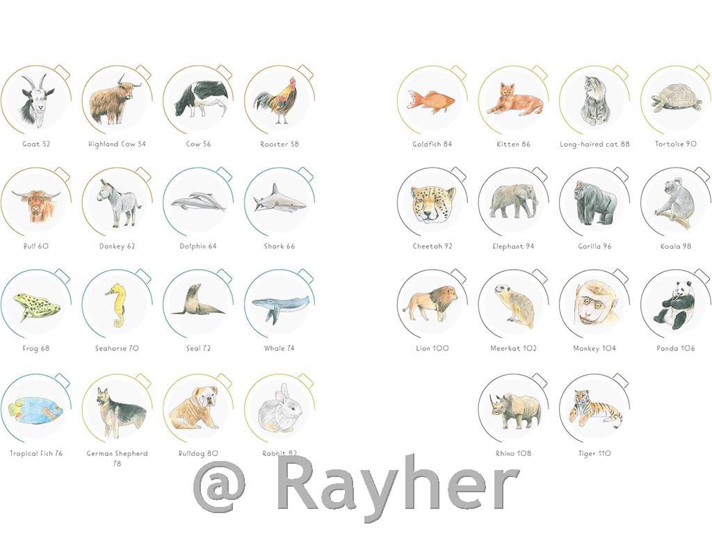 Knjiga Draw in 10 Minutes: Animals