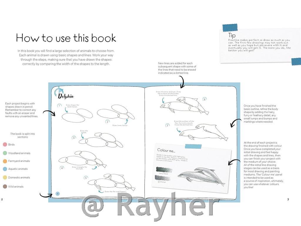 Knjiga Draw in 10 Minutes: Animals