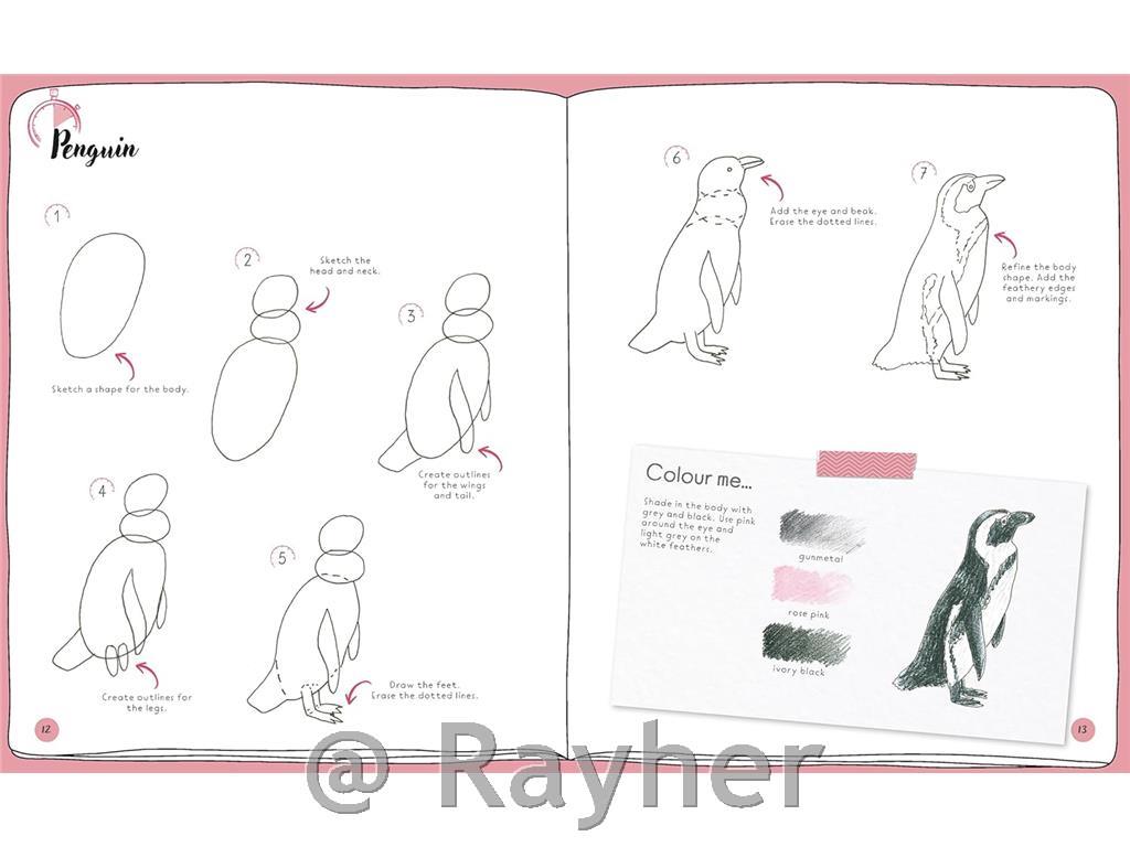 Knjiga Draw in 10 Minutes: Animals