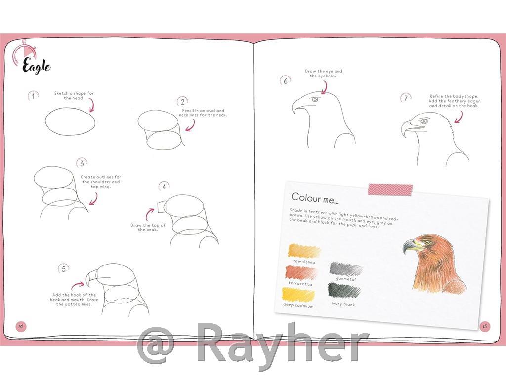 Knjiga Draw in 10 Minutes: Animals