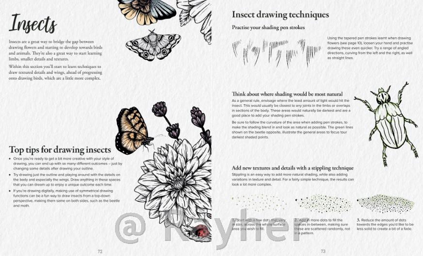 Knjiga Book of Drawing Flora and Fauna