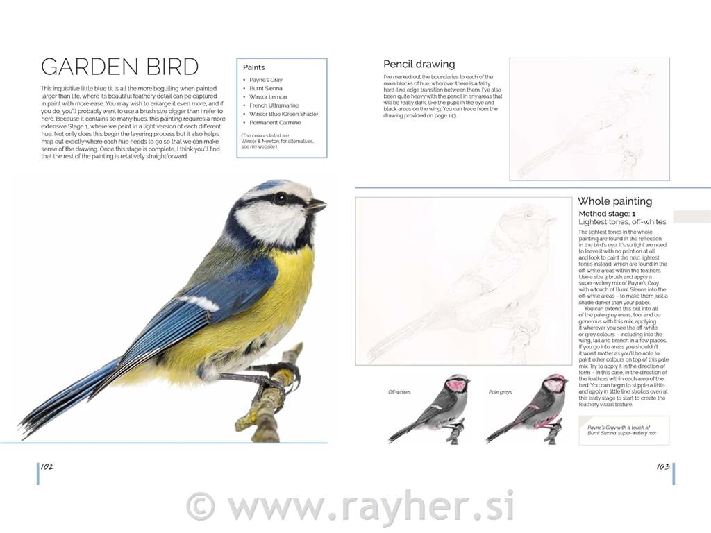 Knjiga Watercolour World