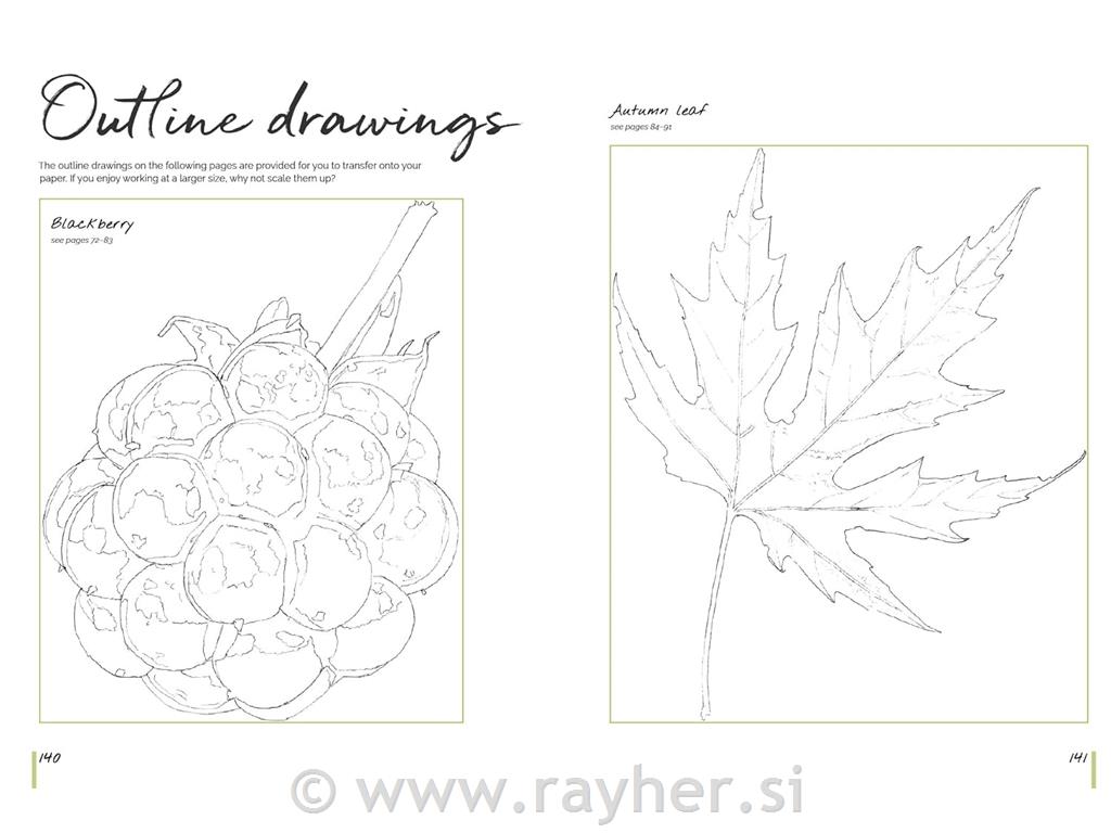 Knjiga Watercolour World