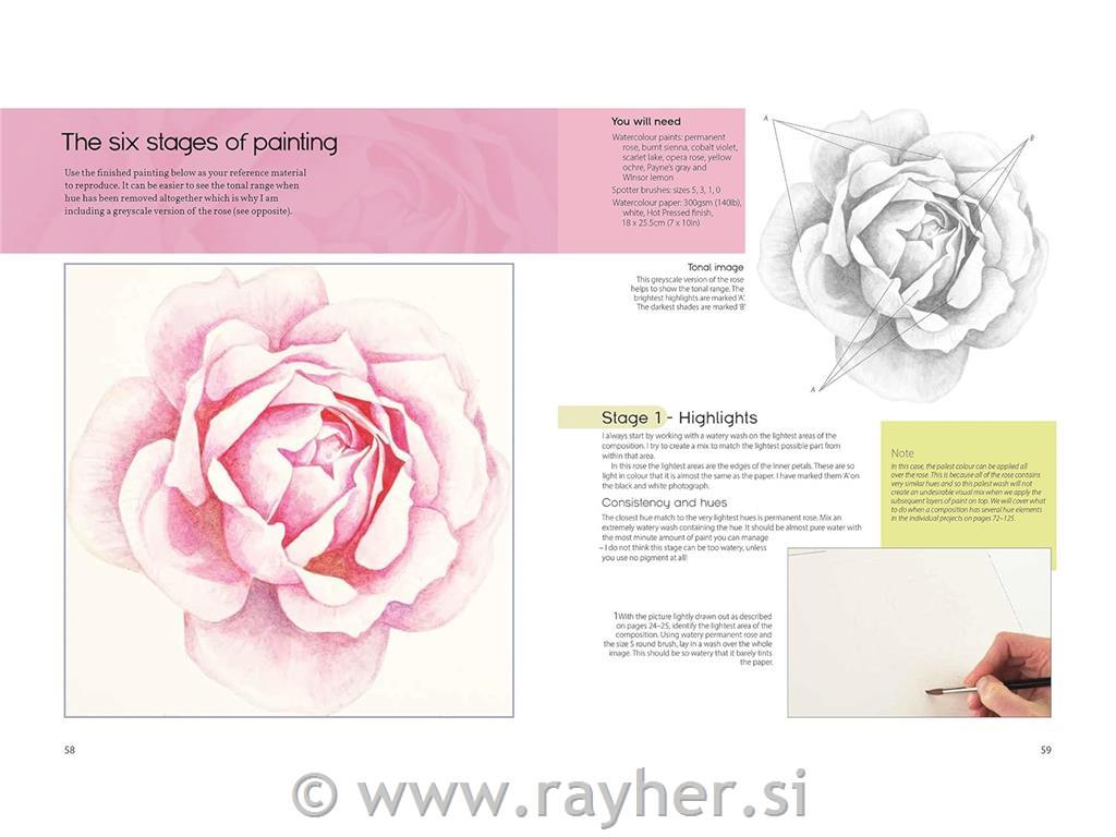 Knjiga The Modern Flower Painter