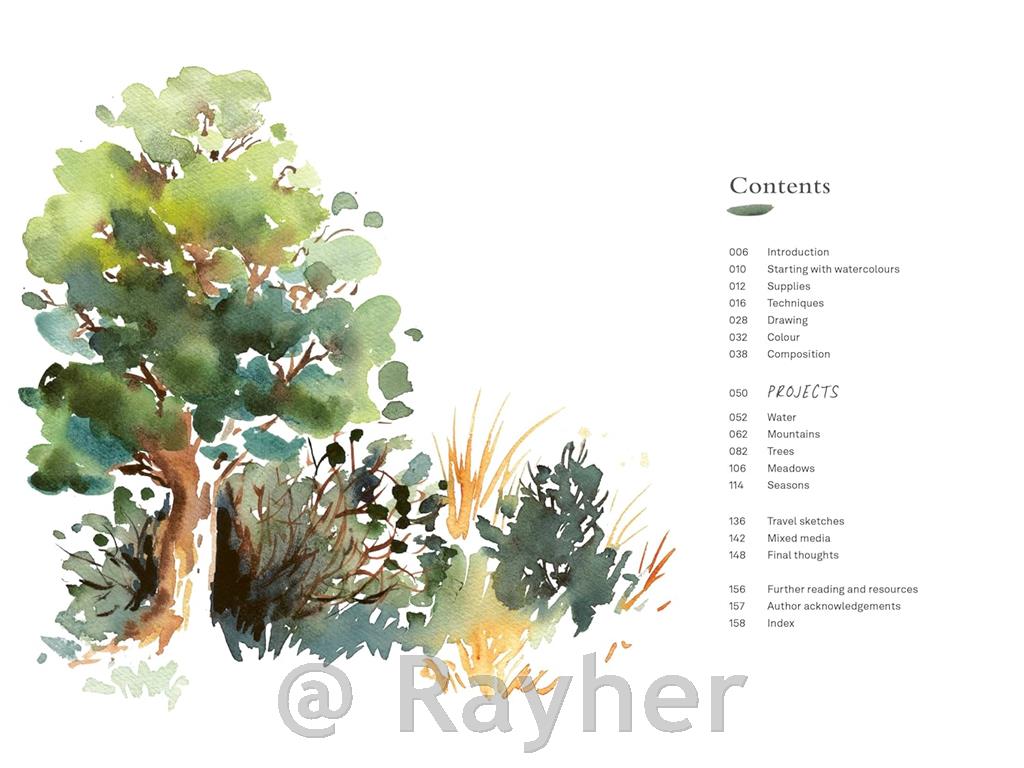 Knjiga Painting Landscapes