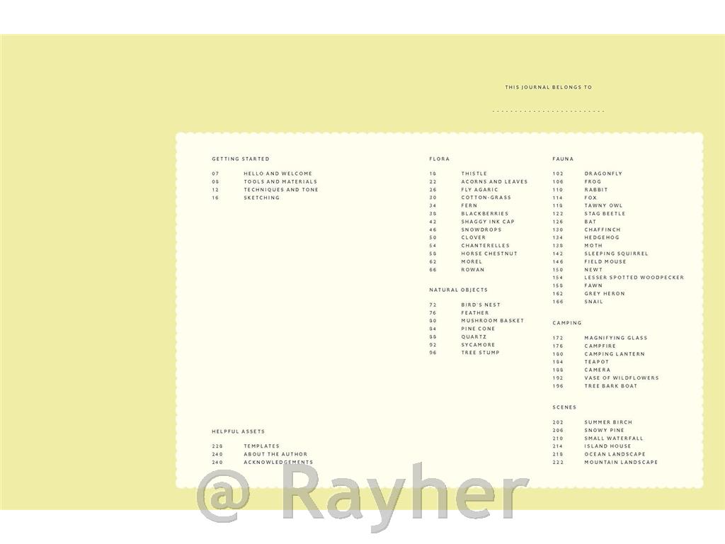 Book 15 Minute Art Pen & Ink