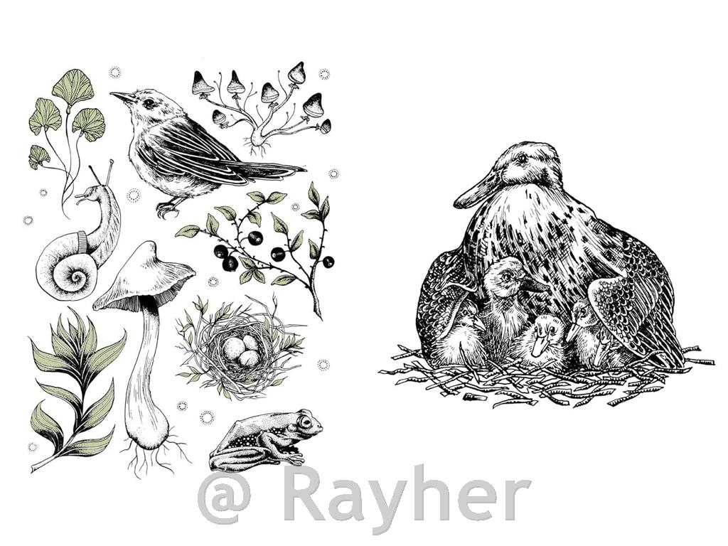 Book 15 Minute Art Pen & Ink