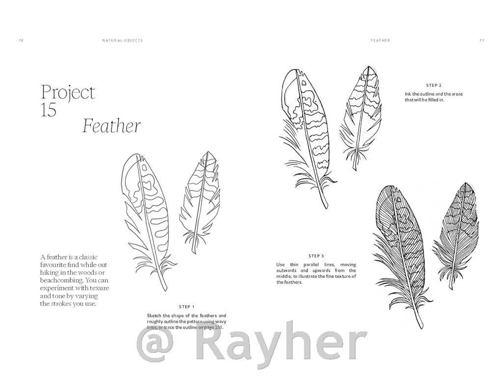 Book 15 Minute Art Pen & Ink