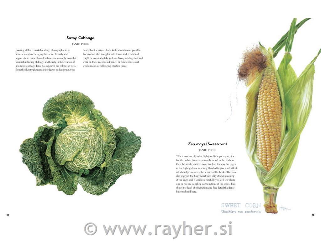 KNJIGA BOTANICAL PAINTING