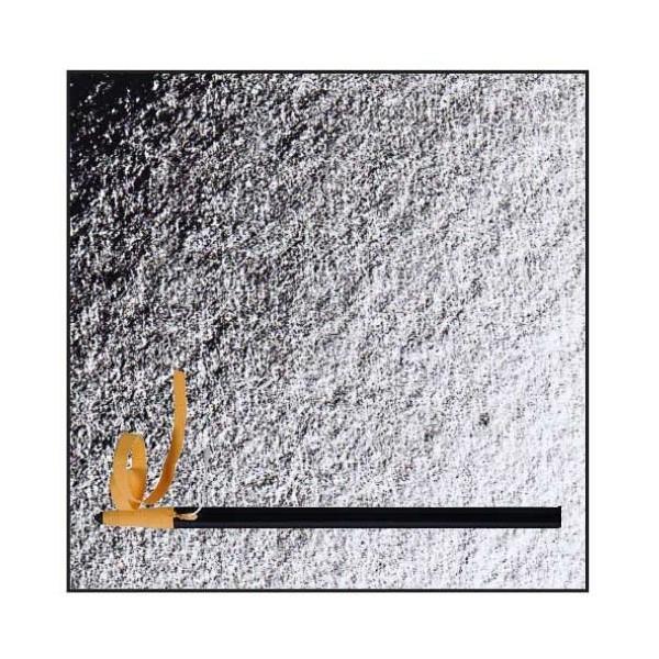 Peel Off oljni svinčnik črn