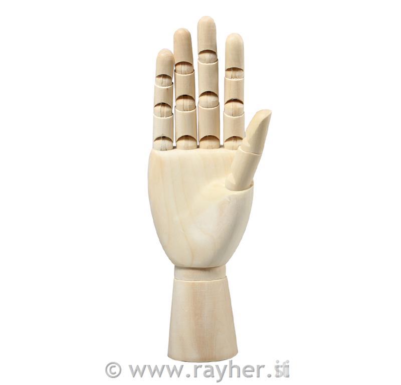 Model roke, moška, desna