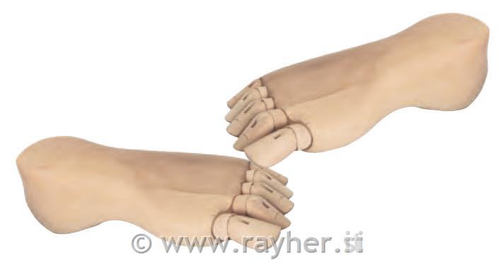 Wooden Foot 21cm female left