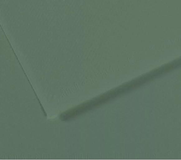 Papir Canson Mi-Teintes 50x65 cm 160 g/m; 190 Sage Green