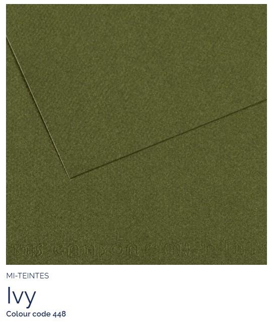 Papir Canson Mi-Teintes 50x65 cm 160 g/m; 448 Ivy