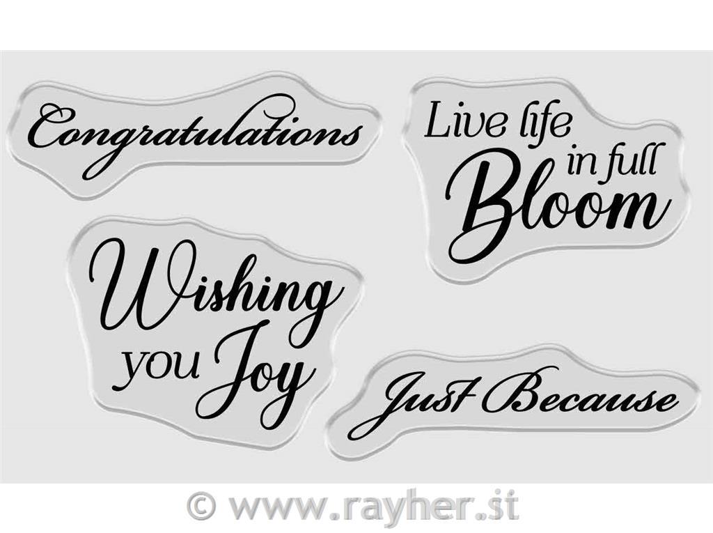 Rezalna šablona & Štampiljke Live Life in Full Bloom