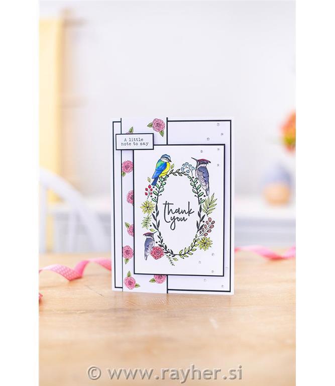 Clear Stamps - Birds & Branches, set 12