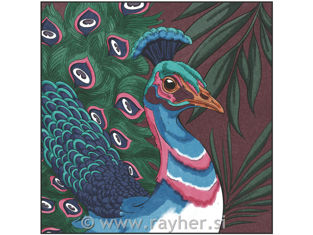 Flomastri Spectrum Noir Jewel Tones, set 12