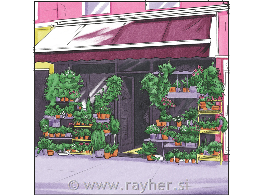 Spectrum Noir-Classique 12pc-Vibrant Florals