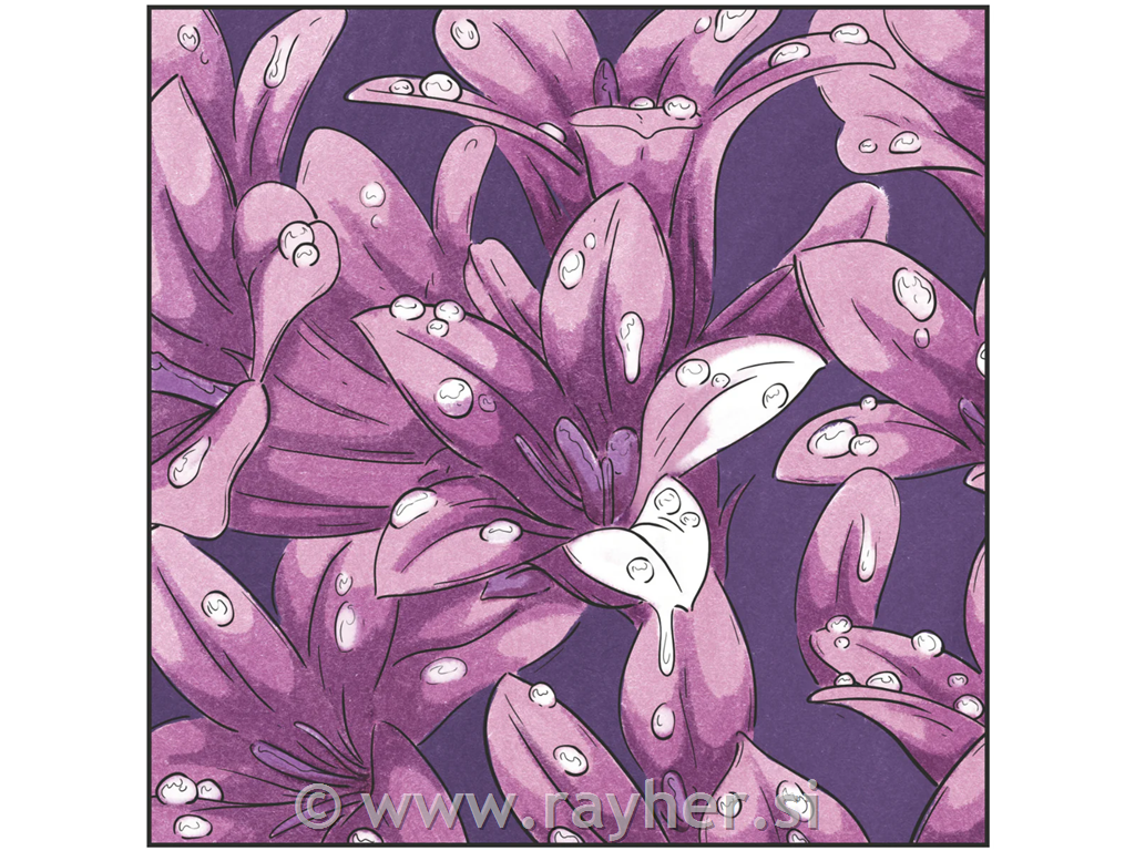 Flomastri Spectrum Noir Rich Purples, set 6