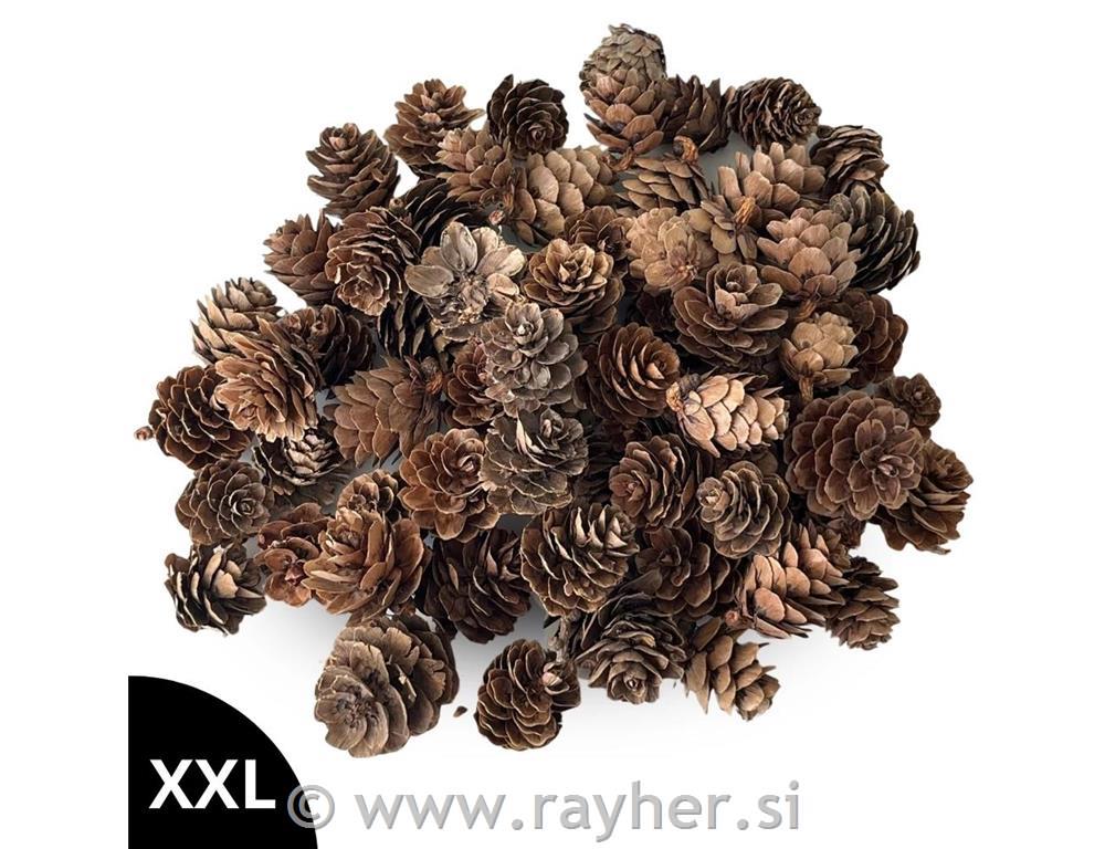 Storžki, večje pakiranje, 100g