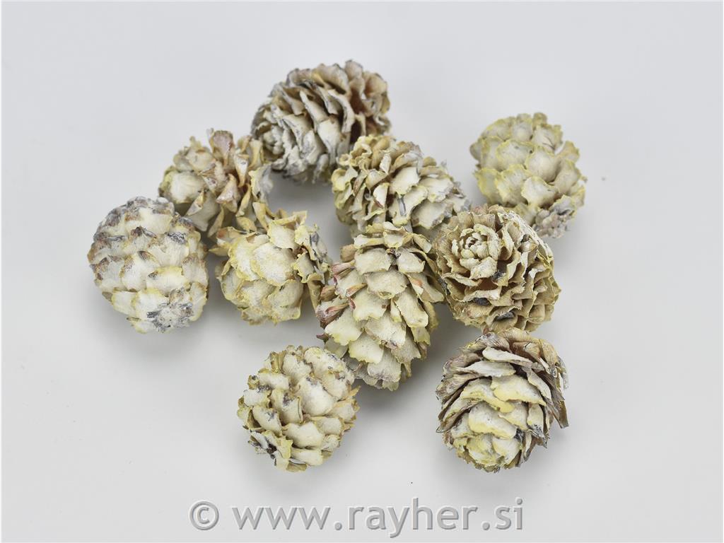 Zasneženi stroži macesna, set 10