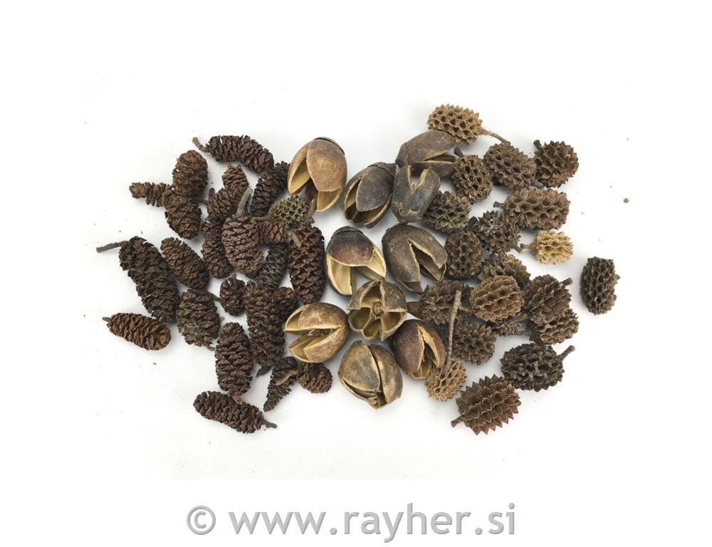 Set za dekoracijo, naravni