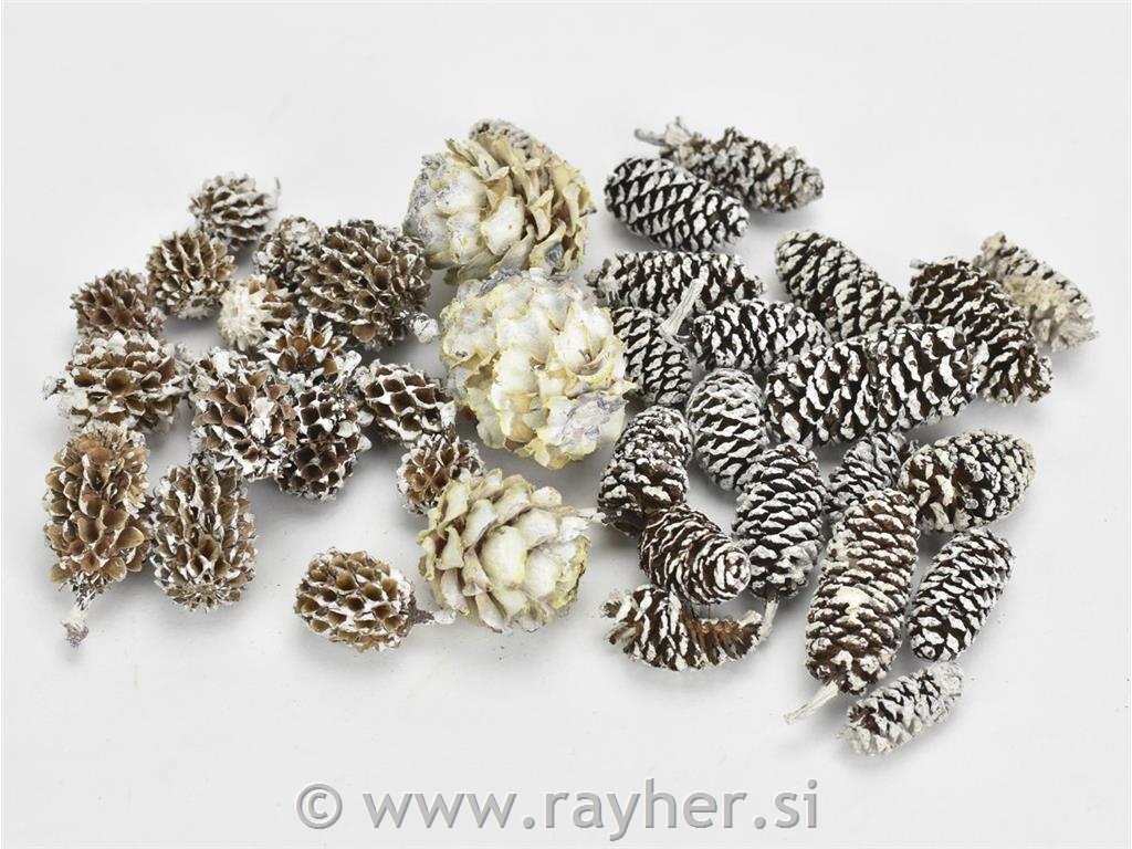 Set različnih storžev