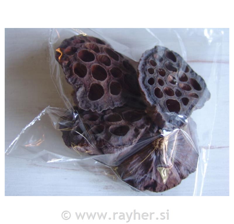 Dekoracija Natur, lotos, set 4