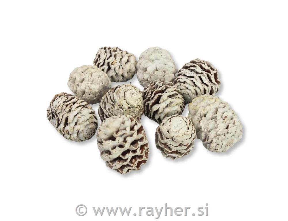 Storži zasneženi 10 kosov