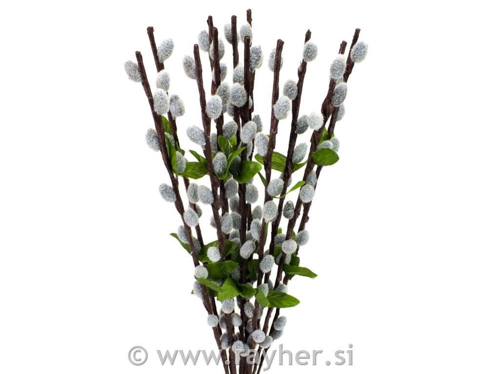 Šopek mačic, 55cm, 12 vej v šopku