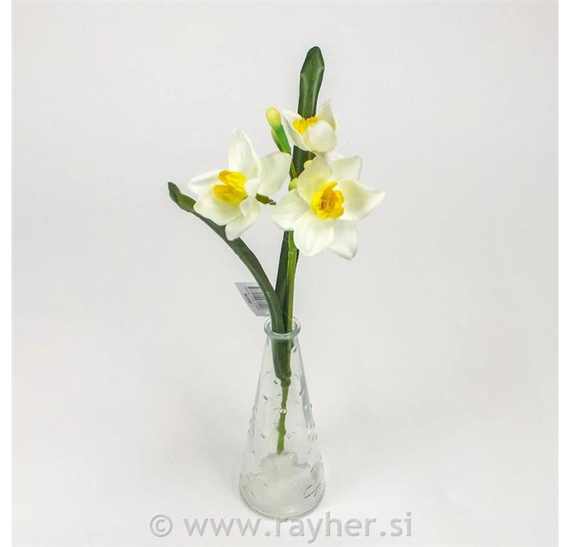 Narcise, belo-rumene,37cm