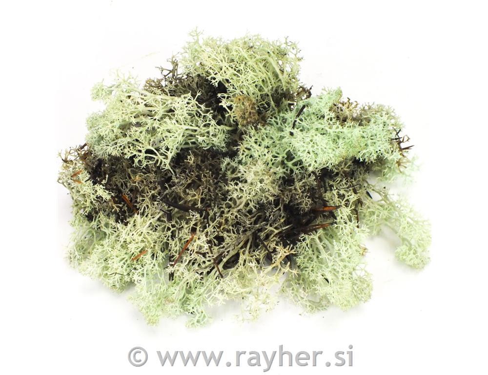 Mah, 35g, mint zelen