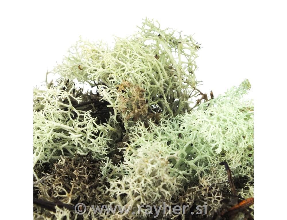 Mah, 35g, mint zelen