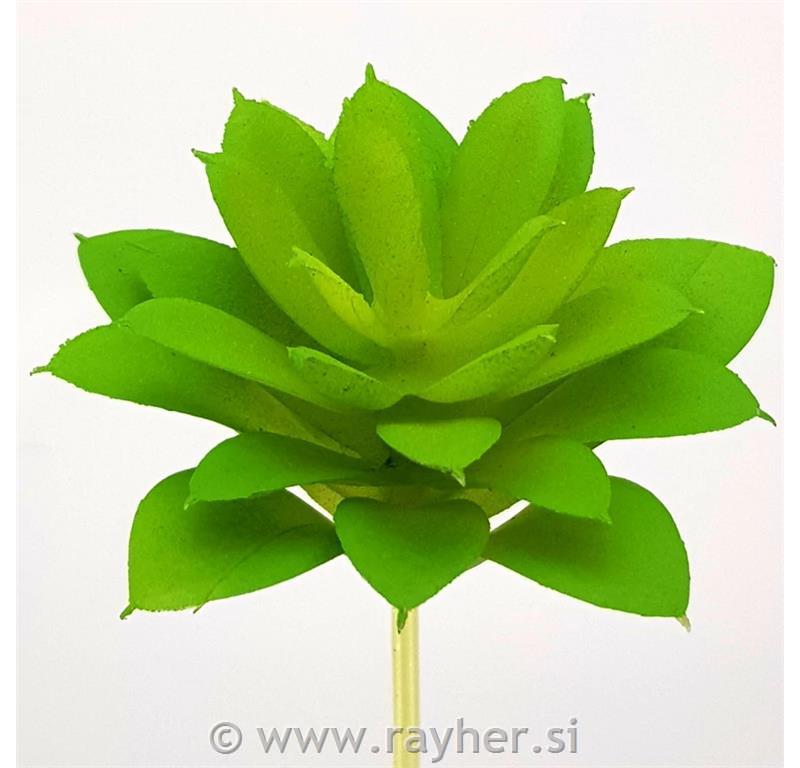 Dekorativno zelenje, netresk