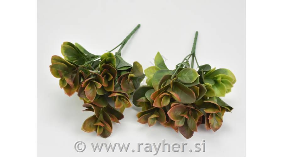 Vejica zelenja, 27cm