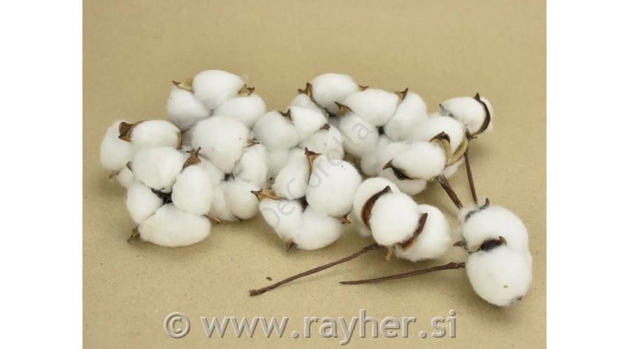 Cotton flower, 6cm 1 pcs