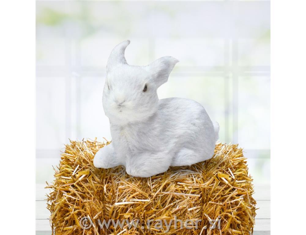 Zajček, bel, 6cm, premium kvaliteta