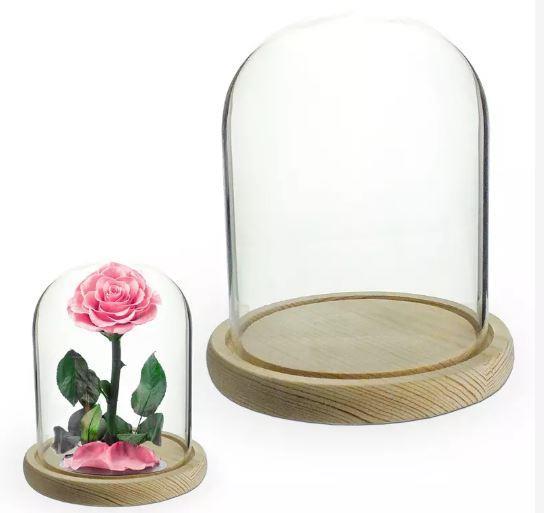Steklena kupola z lesenim podstavkom