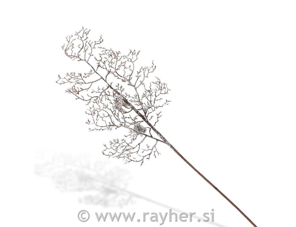 Zasnežena vejica s storžem