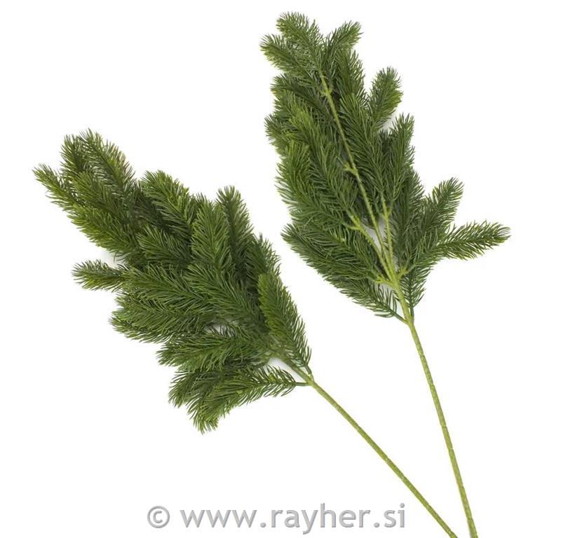 Smreka veja, 1 kos