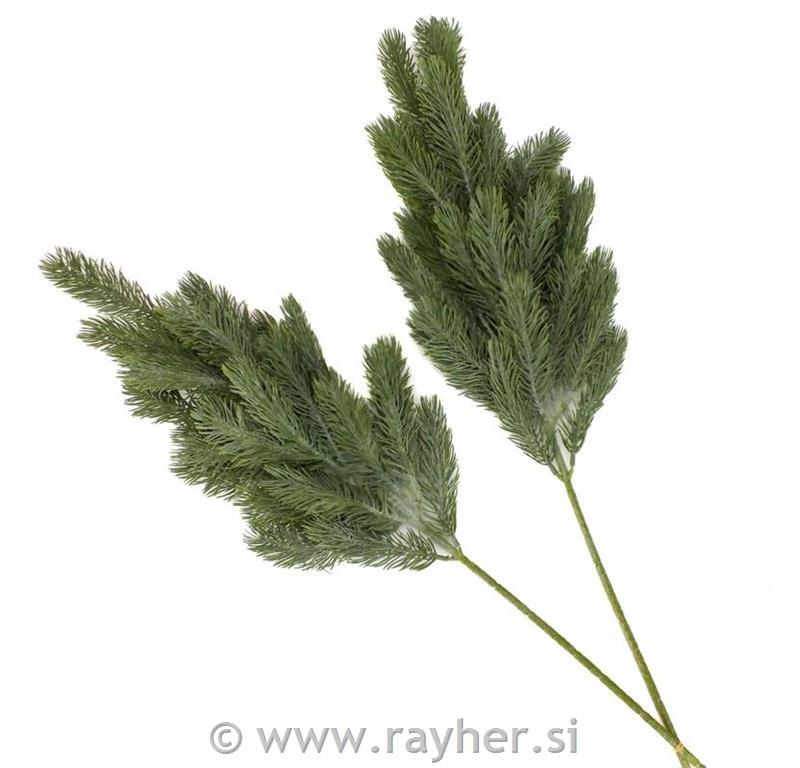 Smreka veja, rahlo raznežena, 1 kos