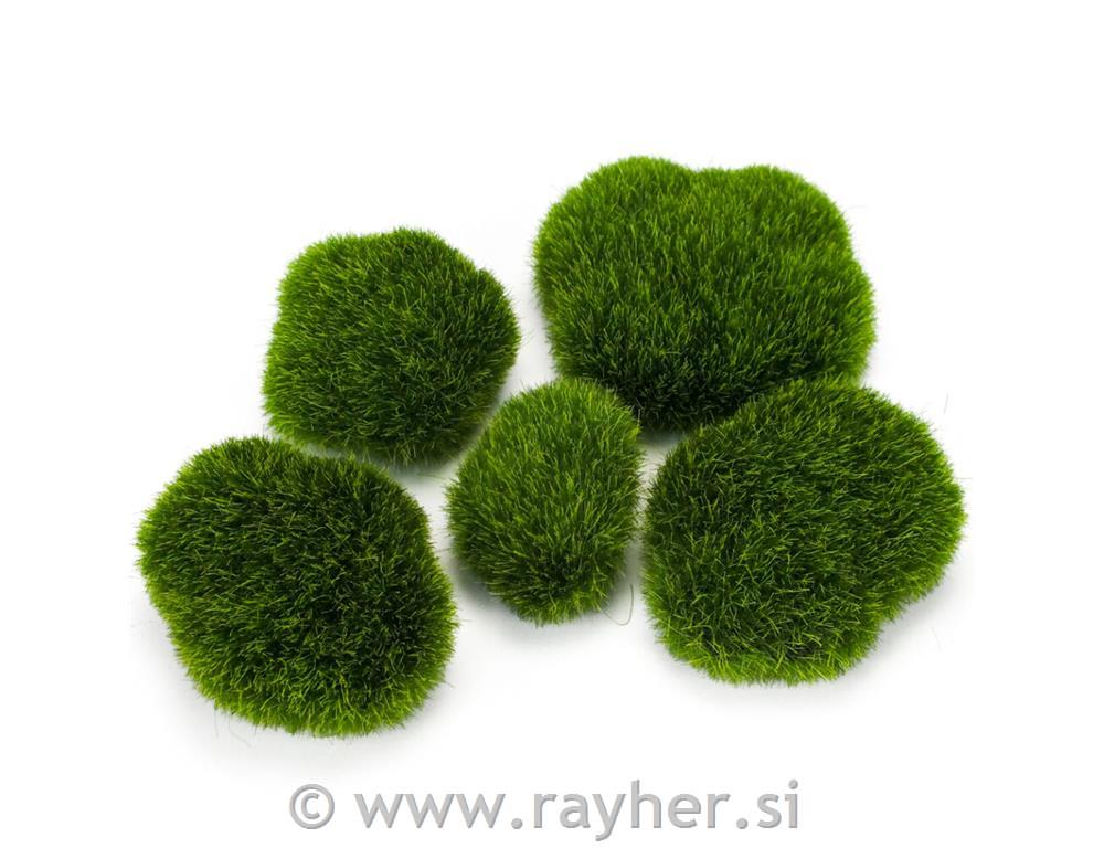 Okrasni travnati kamni 5 kosov