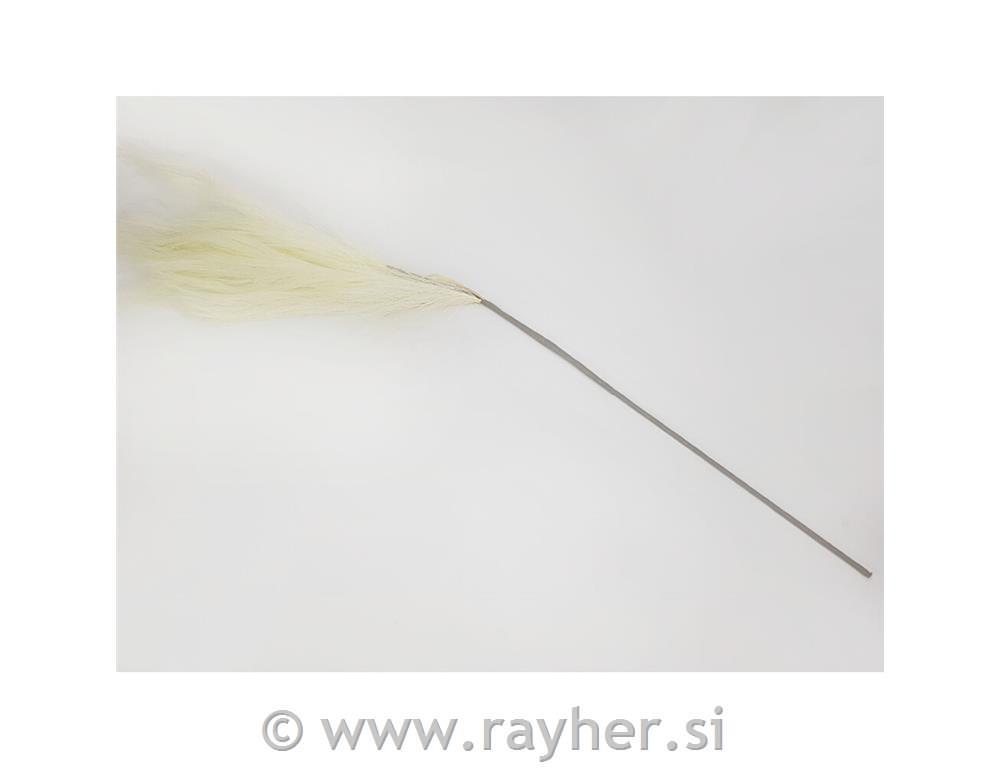 Pampasova trava krem 75cm