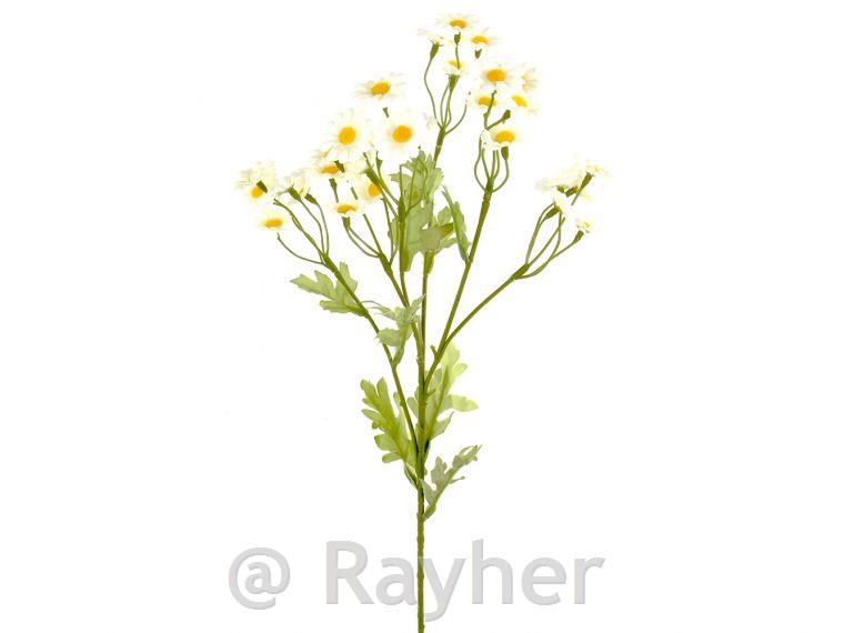 Marjetice, vejica, 52cm